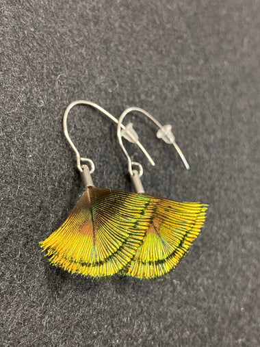 Earrings peacock feathers and stainless steel